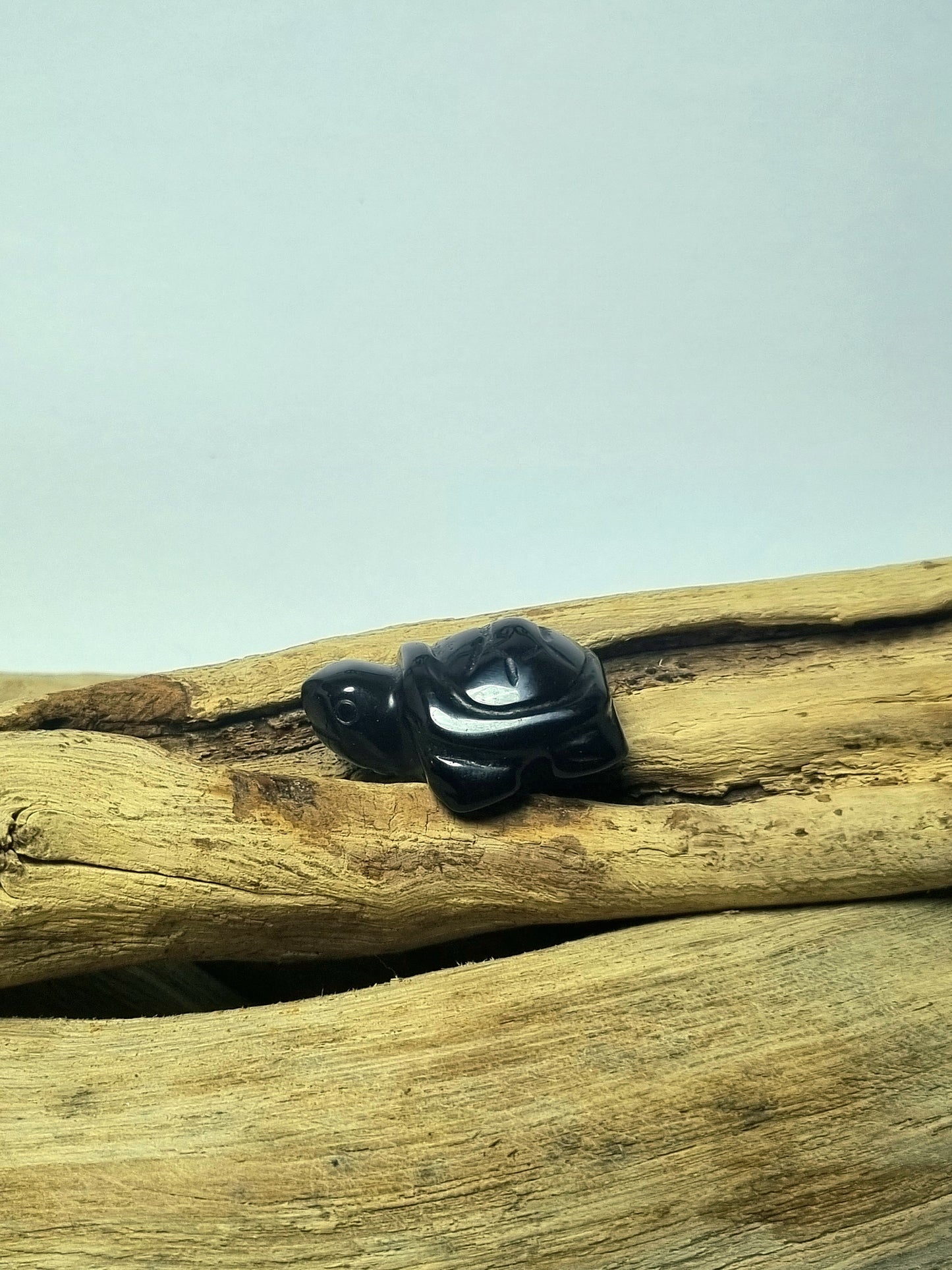 Petite tortue en pierre