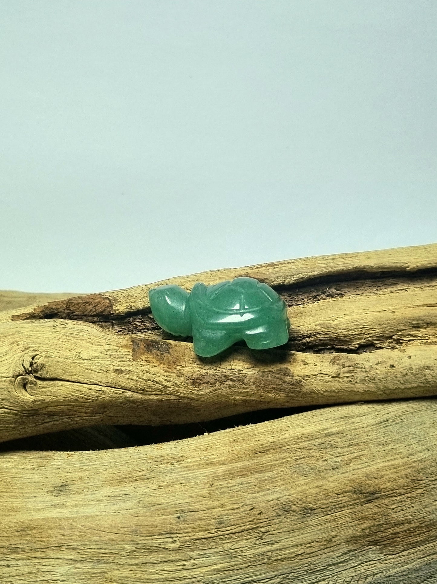 Petite tortue en pierre