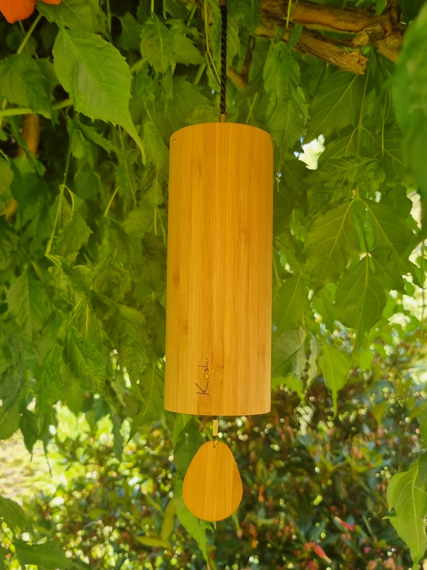 Carillon Koshi