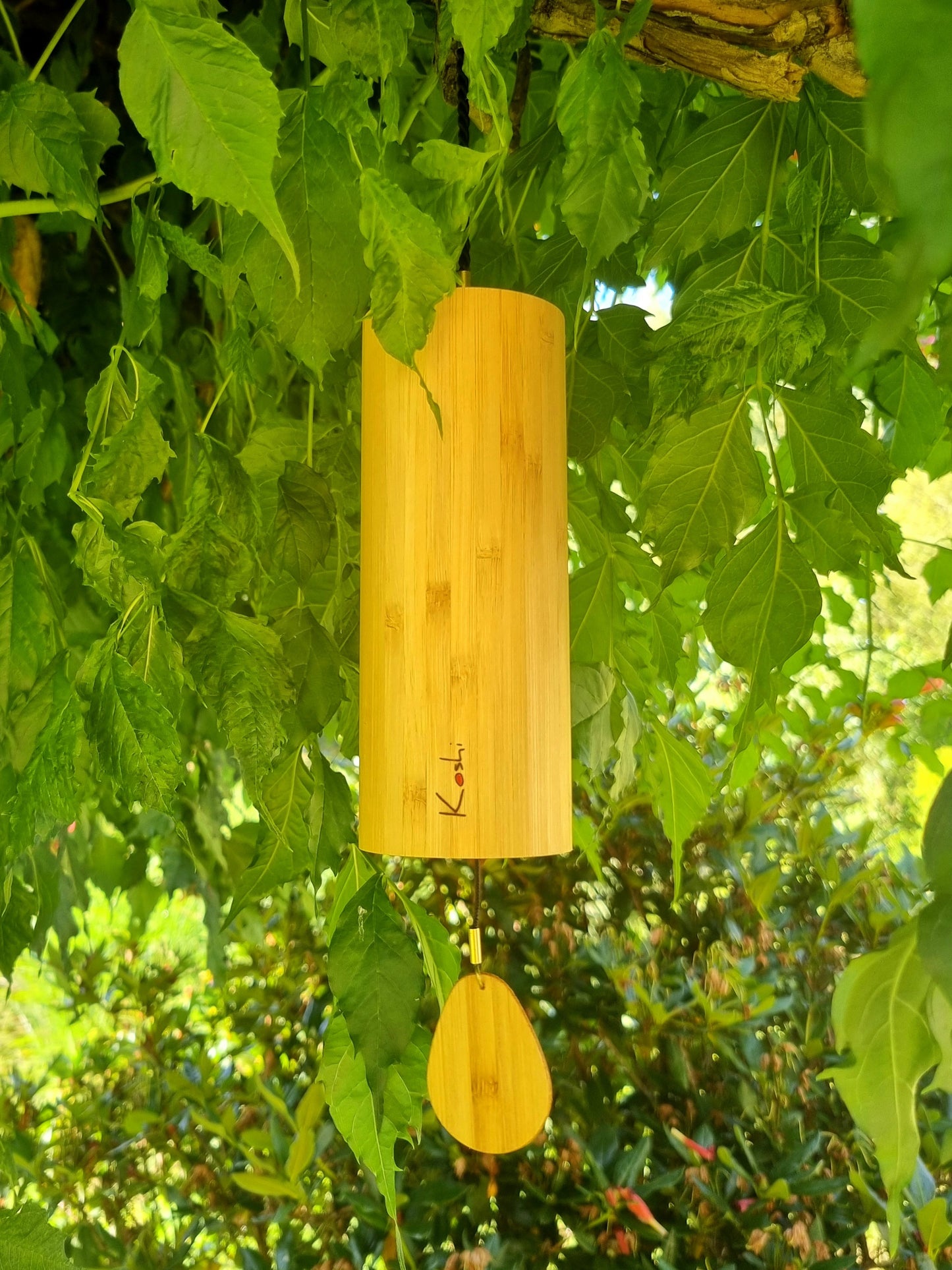 Carillon Koshi
