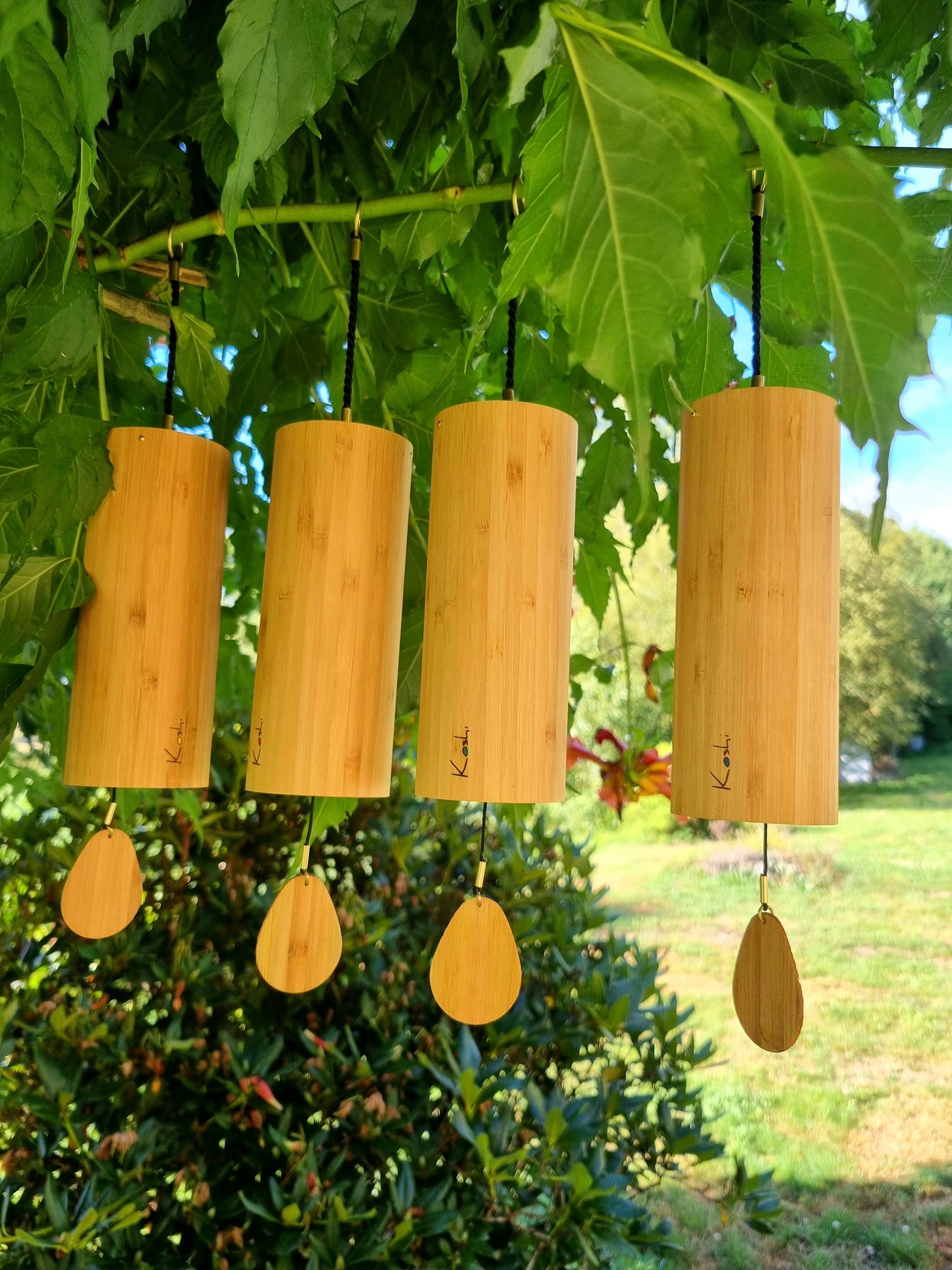 Carillon Koshi